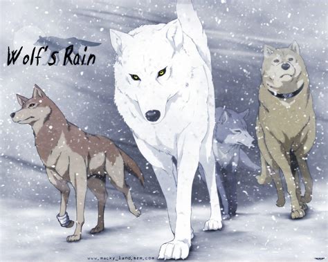 wolf's rain wallpaper